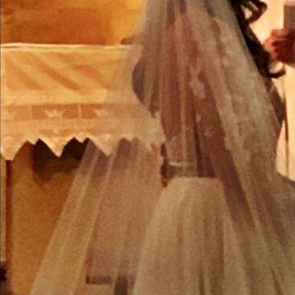 Gorgeous Beaded/Embellished Bridal Veil - Picture 6 of 6